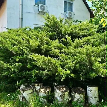 Balatoni Hunor Vendeghaz * Balatonvilagos